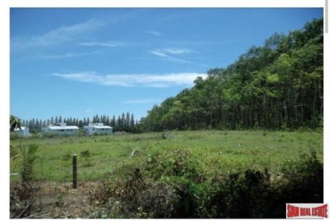 17600m² Land in Phuket, Thailand No. 97078 1
