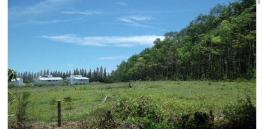 17600m² Land in Phuket, Thailand No. 97078