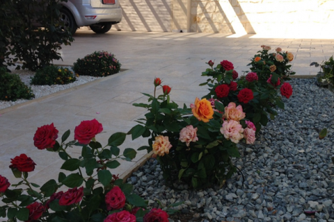 3 dormitorios House en Pissouri, Cyprus No. 29547 10