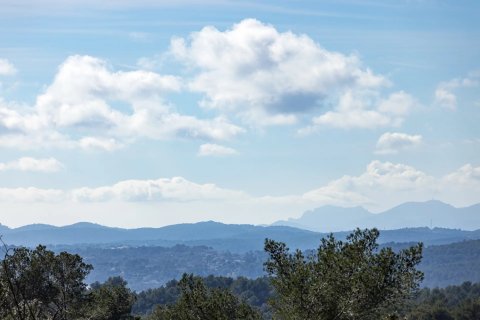 6 chambres Villa à La Colle-sur-Loup, France No. 68721 11