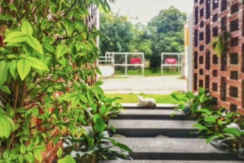 18 bedrooms Commercial property in Chiang Mai, Thailand No. 97589 12