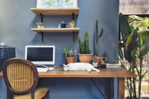 18 bedrooms Commercial property in Chiang Mai, Thailand No. 97589 18