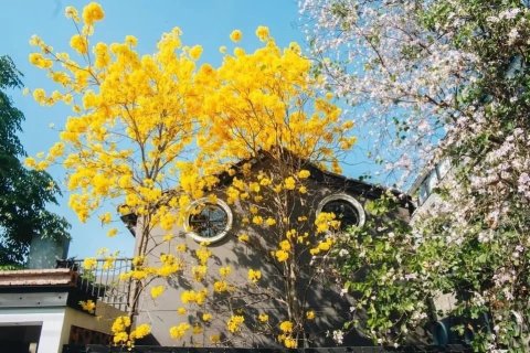 18 bedrooms Commercial property in Chiang Mai, Thailand No. 97589 8