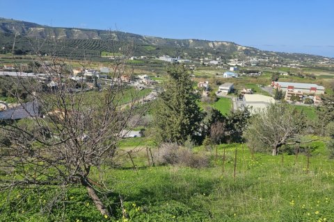 5960m² Land in Heraklion, Greece No. 122740 11