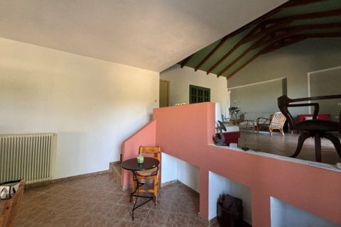 Вилла с 1 спальней в Закинтос, Греция №72302 10