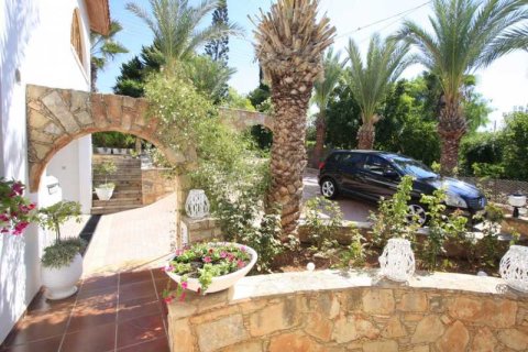 4 bedrooms Villa in Tala, Cyprus No. 84388 7