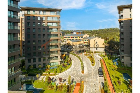 3 bedrooms Apartment in Bach Long Vi, Vietnam No. 80426 10