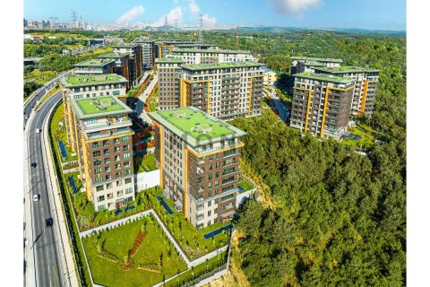 3 bedrooms Apartment in Bach Long Vi, Vietnam No. 80426 15