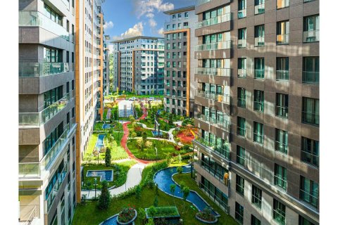 3 bedrooms Apartment in Bach Long Vi, Vietnam No. 80426 17