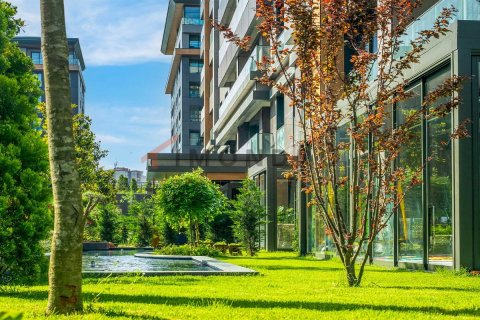 3 bedrooms Apartment in Bach Long Vi, Vietnam No. 80426 4