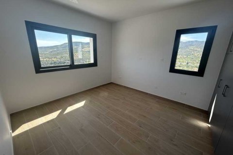 4 chambres House à Akrounta, Cyprus No. 101784 12