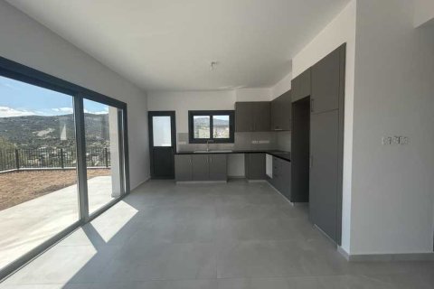 4 chambres House à Akrounta, Cyprus No. 101784 4