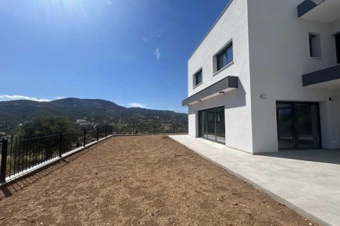 4 chambres House à Akrounta, Cyprus No. 101784 2