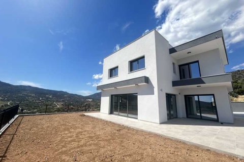 4 chambres House à Akrounta, Cyprus No. 101784 6