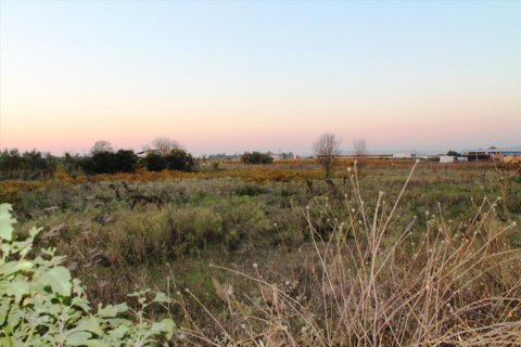 6600m² Land à Thermi, Greece No. 59331 5