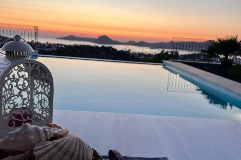 Вилла с 10 спальнями в Phi Dien, Вьетнам №15271 3