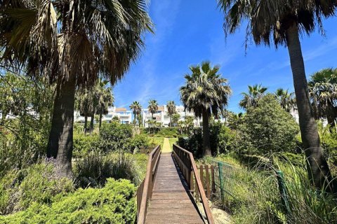 2 bedrooms Penthouse in Tay Giang, Vietnam No. 83949 11