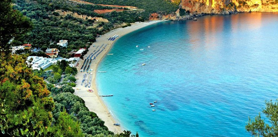 10000m² Land in Thesprotia, Greece No. 59260