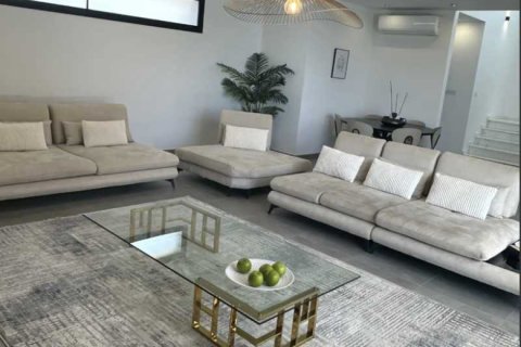 5 chambres Villa à Germasogeia, Cyprus No. 82041 4