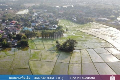 Land in Chiang Mai, Thailand No. 97871 22
