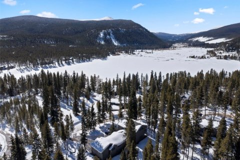 3 bedrooms House in Blue River, USA No. 80126 5