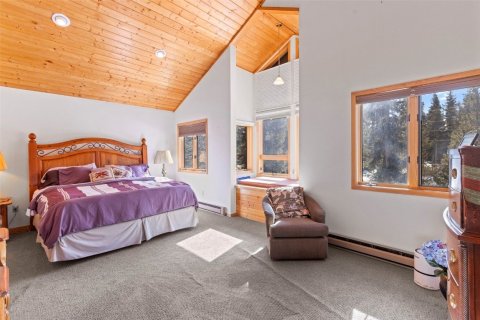 3 bedrooms House in Blue River, USA No. 80126 21