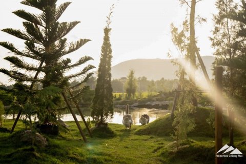 Дом с 3 спальнями в Чиангмай, Таиланд №98064 15