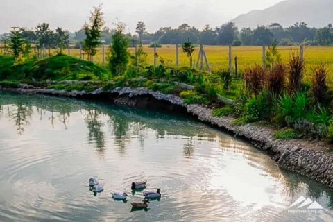 Дом с 3 спальнями в Чиангмай, Таиланд №98064 11