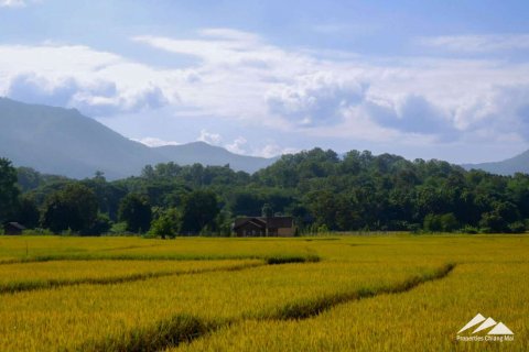 Дом с 3 спальнями в Чиангмай, Таиланд №98064 3