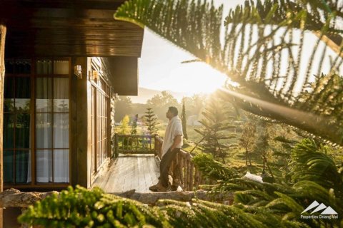 Дом с 3 спальнями в Чиангмай, Таиланд №98064 16
