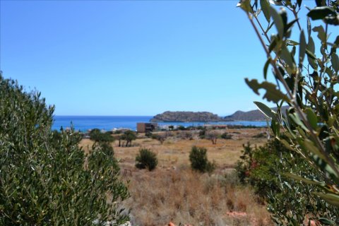 24000m² Land in Agios Nikolaos, Greece No. 59182 3