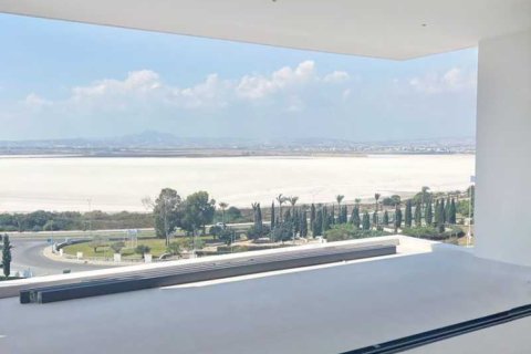 Пентхаус с 2 спальнями в Ларнака, Кипр №65887 1