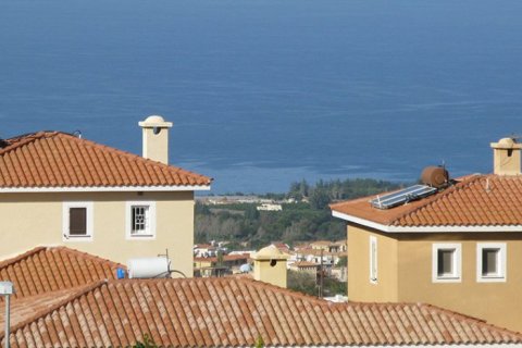 3 rooms Villa à Paphos, Cyprus No. 105249 2