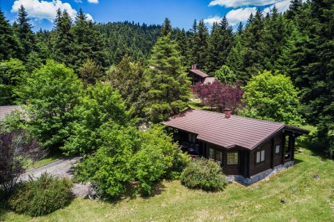 1325m² Hotel in Arcadia, Greece No. 58338 12