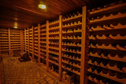 1325m² Hotel in Arcadia, Greece No. 58338 23