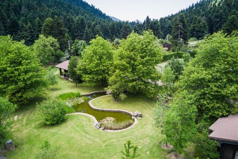 1325m² Hotel in Arcadia, Greece No. 58338 6