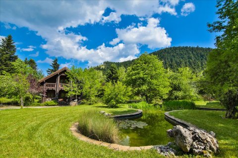 1325m² Hotel in Arcadia, Greece No. 58338 8