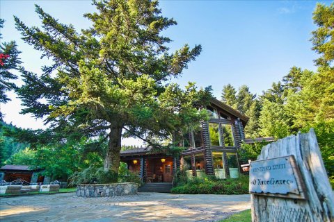 1325m² Hotel in Arcadia, Greece No. 58338 10