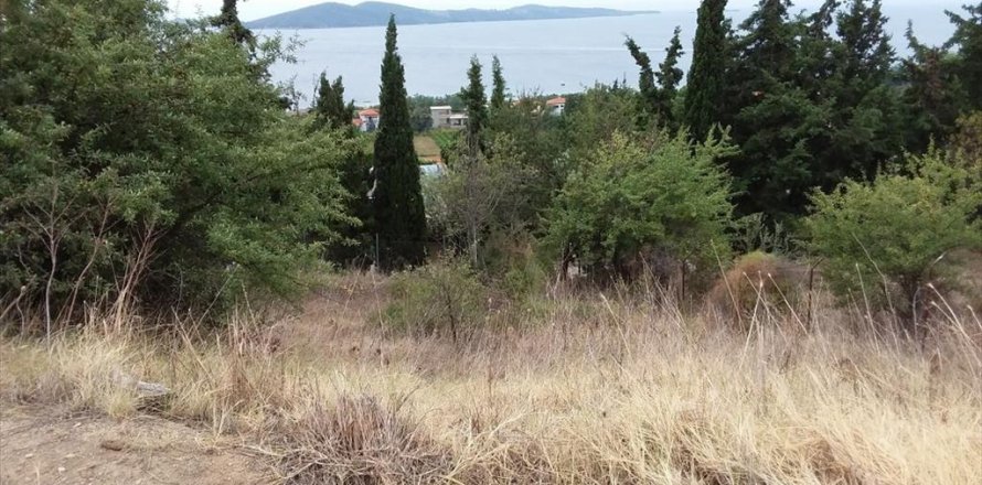 13000m² Land en Chalkidiki, Greece No. 109616