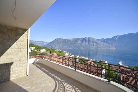 3 bedrooms Apartment in Kotor, Montenegro No. 104751 11