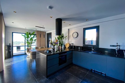 4 chambres Villa à Hoang An, Vietnam No. 88591 7