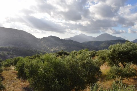 43000m² Land in Rethymno, Greece No. 58617 9