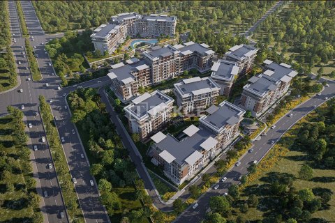 3 chambres Appartement à An Thuy, Vietnam No. 17600 2