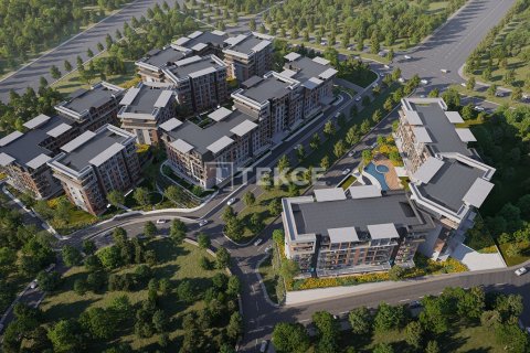 3 chambres Appartement à An Thuy, Vietnam No. 17600 5