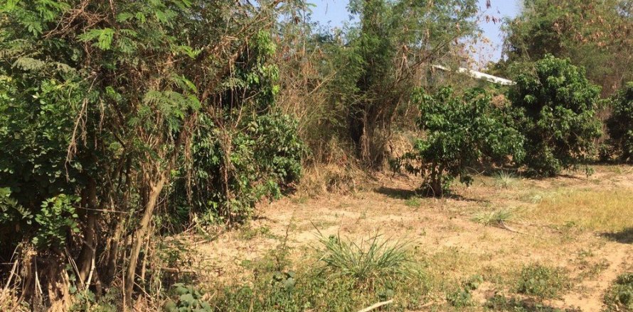 Land en Chiang Mai, Thailand No. 97648