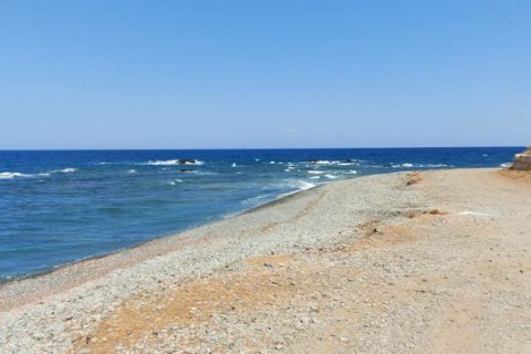 4 bedrooms Villa in Pomos, Cyprus No. 36830 2