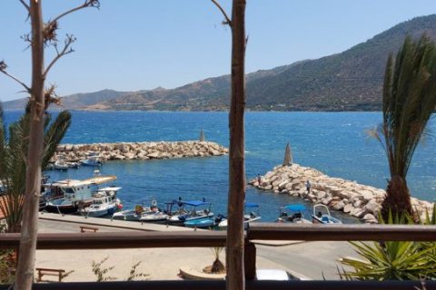 4 bedrooms Villa in Pomos, Cyprus No. 36830 10