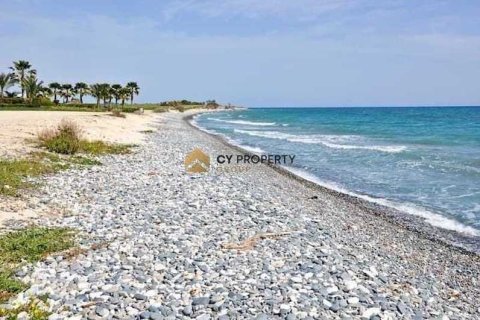 3 chambres House à Mazotos, Cyprus No. 40180 8