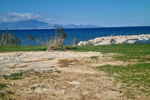 Land in Zakynthos, Greece No. 79984 21