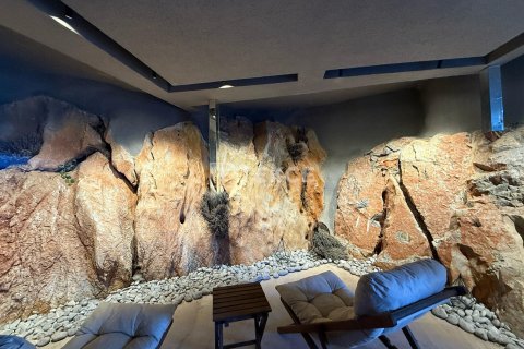 Квартира с 1 спальней в Chau Lang, Вьетнам №12184 11